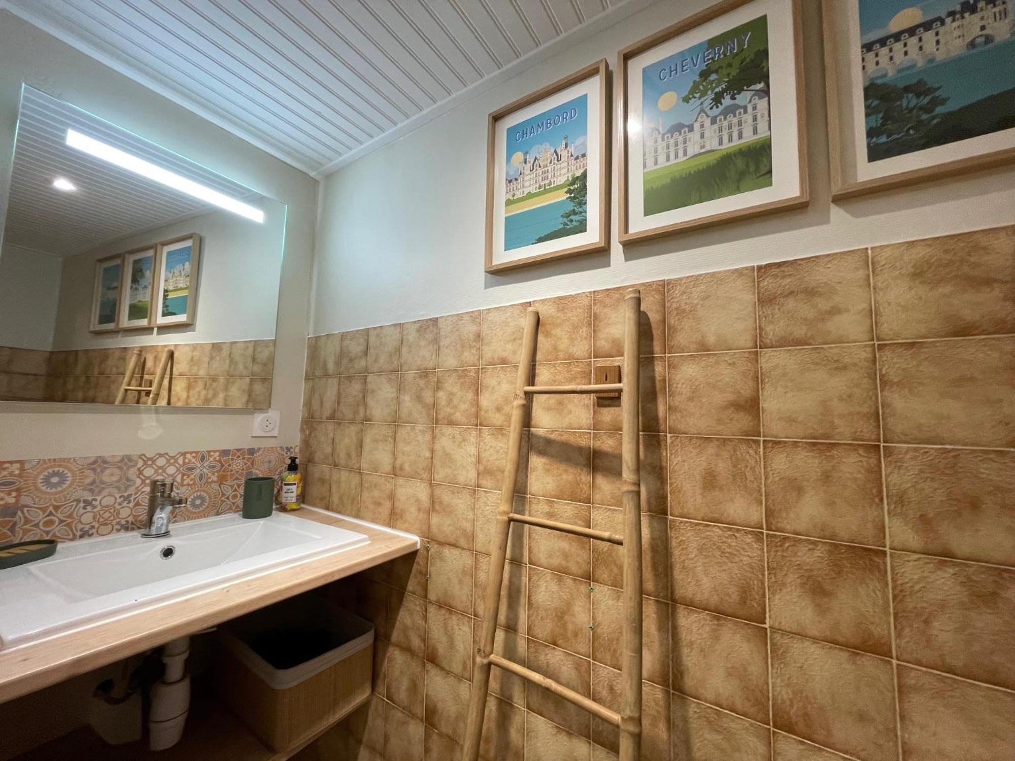Apartment Le Doux Douillet Beauval A 5mn Du Zoo - Familial En Hypercentre De Saint-aignan Saint-Aignan (Loir-et-Cher)